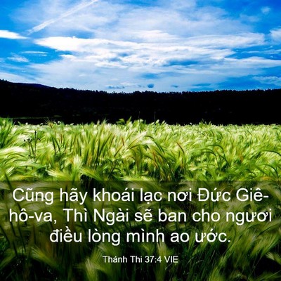 Picture 03 - Thánh Thi 37:4 VIE - Cũng hãy khoái lạc nơi Đức Giê-hô-va, - Bible Verse Picture