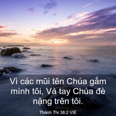 Picture 03 - Thánh Thi 38:2 VIE - Vì các mũi tên Chúa gắm mình tôi, Và - Bible Verse Picture