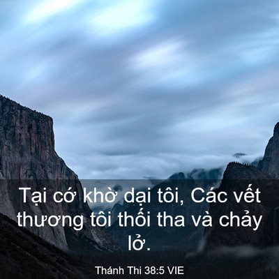 Picture 03 - Thánh Thi 38:5 VIE - Tại cớ khờ dại tôi, Các vết thương - Bible Verse Picture