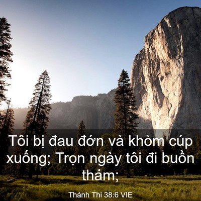 Picture 03 - Thánh Thi 38:6 VIE - Tôi bị đau đớn và khòm cúp xuống; - Bible Verse Picture