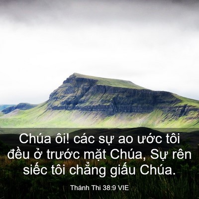 Picture 03 - Thánh Thi 38:9 VIE - Chúa ôi! các sự ao ước tôi đều ở - Bible Verse Picture