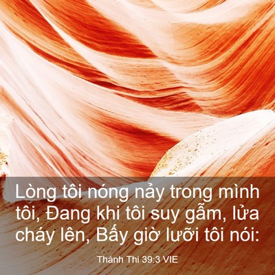 Picture 03 - Thánh Thi 39:3 VIE - Lòng tôi nóng nảy trong mình tôi, Đang - Bible Verse Picture