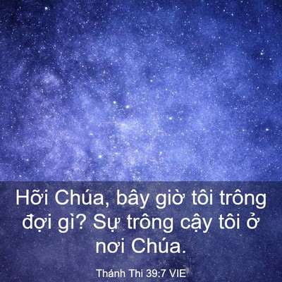 Picture 03 - Thánh Thi 39:7 VIE - Hỡi Chúa, bây giờ tôi trông đợi gì? - Bible Verse Picture