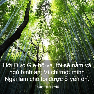Picture 03 - Thánh Thi 4:8 VIE - Hỡi Đức Giê-hô-va, tôi sẽ nằm và - Bible Verse Picture