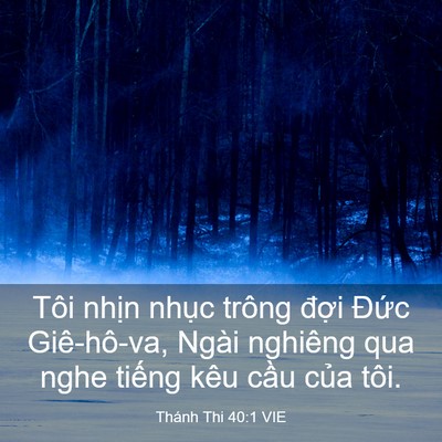 Picture 03 - Thánh Thi 40:1 VIE - Tôi nhịn nhục trông đợi Đức - Bible Verse Picture