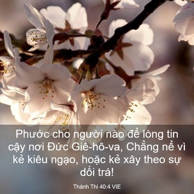Picture 03 - Thánh Thi 40:4 VIE - Phước cho người nào để lòng tin cậy - Bible Verse Picture