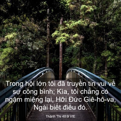 Picture 03 - Thánh Thi 40:9 VIE - Trong hội lớn tôi đã truyền tin vui về - Bible Verse Picture