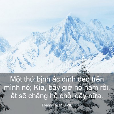 Picture 03 - Thánh Thi 41:8 VIE - Một thứ bịnh ác dính đeo trên mình - Bible Verse Picture