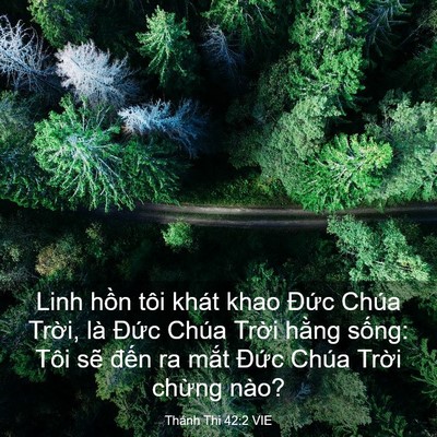 Picture 03 - Thánh Thi 42:2 VIE - Linh hồn tôi khát khao Đức Chúa Trời, - Bible Verse Picture