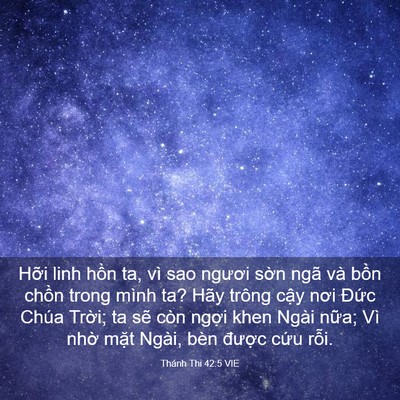 Picture 03 - Thánh Thi 42:5 VIE - Hỡi linh hồn ta, vì sao ngươi sờn ngã - Bible Verse Picture