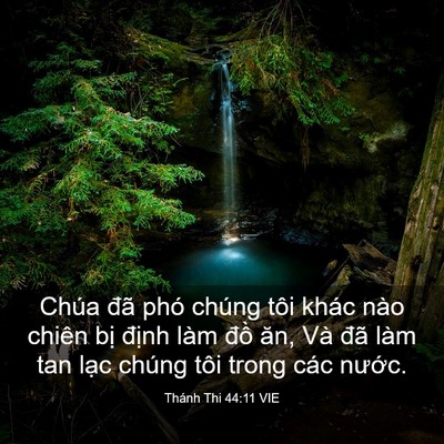 Picture 03 - Thánh Thi 44:11 VIE - Chúa đã phó chúng tôi khác nào chiên - Bible Verse Picture