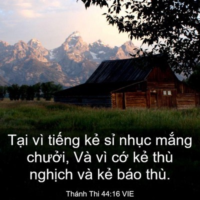 Picture 03 - Thánh Thi 44:16 VIE - Tại vì tiếng kẻ sỉ nhục mắng - Bible Verse Picture