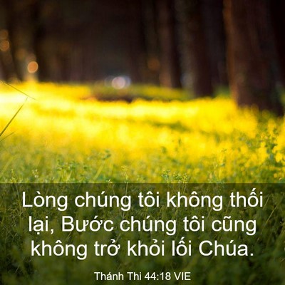 Picture 03 - Thánh Thi 44:18 VIE - Lòng chúng tôi không thối lại, Bước - Bible Verse Picture