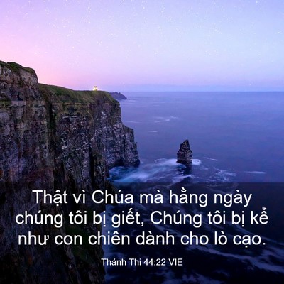 Picture 03 - Thánh Thi 44:22 VIE - Thật vì Chúa mà hằng ngày chúng tôi - Bible Verse Picture