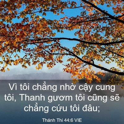 Picture 03 - Thánh Thi 44:6 VIE - Vì tôi chẳng nhờ cậy cung tôi, Thanh - Bible Verse Picture