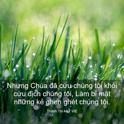 Picture 03 - Thánh Thi 44:7 VIE - Nhưng Chúa đã cứu chúng tôi khỏi cừu - Bible Verse Picture