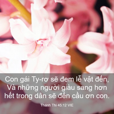 Picture 03 - Thánh Thi 45:12 VIE - Con gái Ty-rơ sẽ đem lễ vật đến, Và - Bible Verse Picture