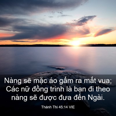 Picture 03 - Thánh Thi 45:14 VIE - Nàng sẽ mặc áo gấm ra mắt vua; Các - Bible Verse Picture
