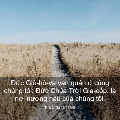 Picture 03 - Thánh Thi 46:11 VIE - Đức Giê-hô-va vạn quân ở cùng chúng - Bible Verse Picture
