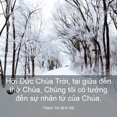 Picture 03 - Thánh Thi 48:9 VIE - Hỡi Đức Chúa Trời, tại giữa đền - Bible Verse Picture