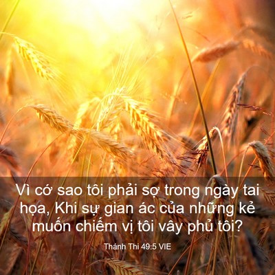 Picture 03 - Thánh Thi 49:5 VIE - Vì cớ sao tôi phải sợ trong ngày tai - Bible Verse Picture