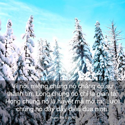 Picture 03 - Thánh Thi 5:9 VIE - Vì nơi miệng chúng nó chẳng có sự - Bible Verse Picture