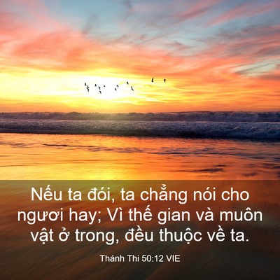 Picture 03 - Thánh Thi 50:12 VIE - Nếu ta đói, ta chẳng nói cho ngươi hay; - Bible Verse Picture