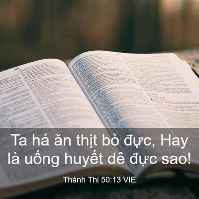 Picture 03 - Thánh Thi 50:13 VIE - Ta há ăn thịt bò đực, Hay là uống - Bible Verse Picture