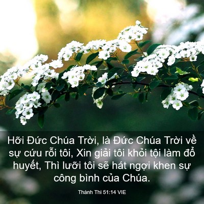 Picture 03 - Thánh Thi 51:14 VIE - Hỡi Đức Chúa Trời, là Đức Chúa - Bible Verse Picture