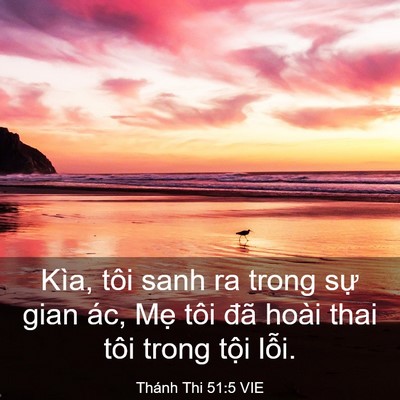 Picture 03 - Thánh Thi 51:5 VIE - Kìa, tôi sanh ra trong sự gian ác, Mẹ tôi - Bible Verse Picture