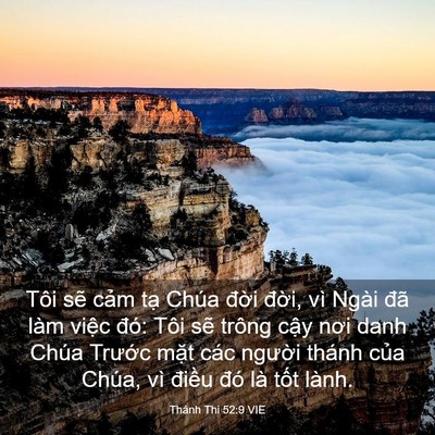 Picture 03 - Thánh Thi 52:9 VIE - Tôi sẽ cảm tạ Chúa đời đời, vì - Bible Verse Picture