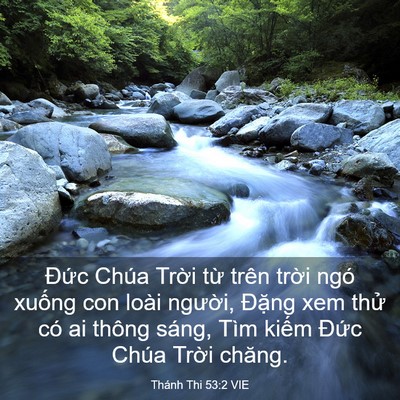 Picture 03 - Thánh Thi 53:2 VIE - Đức Chúa Trời từ trên trời ngó - Bible Verse Picture