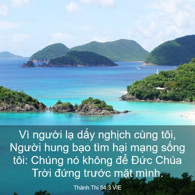 Picture 03 - Thánh Thi 54:3 VIE - Vì người lạ dấy nghịch cùng tôi, - Bible Verse Picture