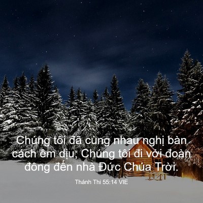 Picture 03 - Thánh Thi 55:14 VIE - Chúng tôi đã cùng nhau nghị bàn cách êm - Bible Verse Picture