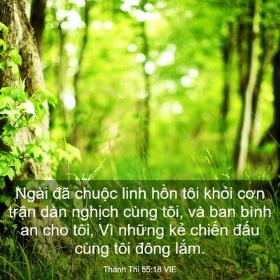 Picture 03 - Thánh Thi 55:18 VIE - Ngài đã chuộc linh hồn tôi khỏi cơn - Bible Verse Picture