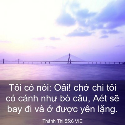 Picture 03 - Thánh Thi 55:6 VIE - Tôi có nói: Oâi! chớ chi tôi có cánh - Bible Verse Picture