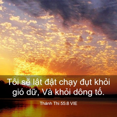 Picture 03 - Thánh Thi 55:8 VIE - Tôi sẽ lật đật chạy đụt khỏi gió - Bible Verse Picture