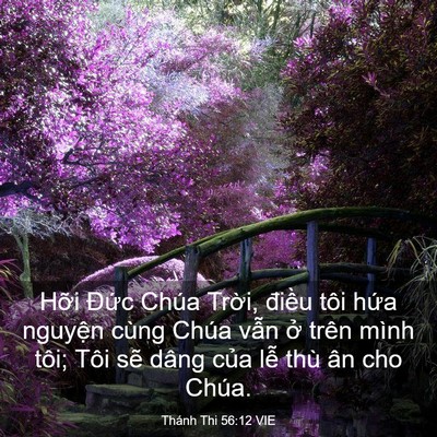 Picture 03 - Thánh Thi 56:12 VIE - Hỡi Đức Chúa Trời, điều tôi hứa - Bible Verse Picture