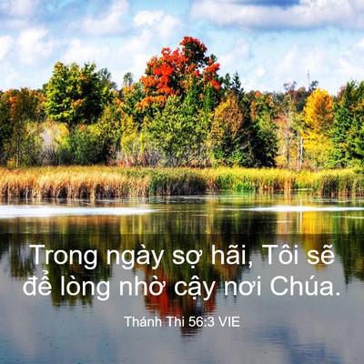 Picture 03 - Thánh Thi 56:3 VIE - Trong ngày sợ hãi, Tôi sẽ để lòng - Bible Verse Picture