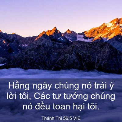 Picture 03 - Thánh Thi 56:5 VIE - Hằng ngày chúng nó trái ý lời tôi, Các - Bible Verse Picture