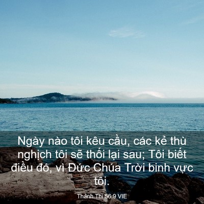 Picture 03 - Thánh Thi 56:9 VIE - Ngày nào tôi kêu cầu, các kẻ thù - Bible Verse Picture