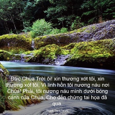 Picture 03 - Thánh Thi 57:1 VIE - Đức Chúa Trời ôi! xin thương xót tôi, - Bible Verse Picture