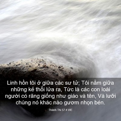 Picture 03 - Thánh Thi 57:4 VIE - Linh hồn tôi ở giữa các sư tử; Tôi - Bible Verse Picture