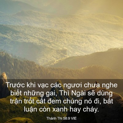 Picture 03 - Thánh Thi 58:9 VIE - Trước khi vạc các ngươi chưa nghe biết - Bible Verse Picture