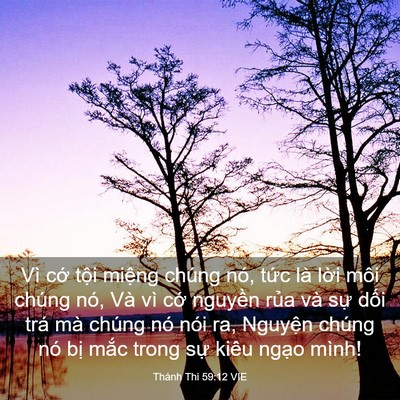 Picture 03 - Thánh Thi 59:12 VIE - Vì cớ tội miệng chúng nó, tức là - Bible Verse Picture