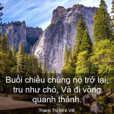 Picture 03 - Thánh Thi 59:6 VIE - Buổi chiều chúng nó trở lại, tru như - Bible Verse Picture