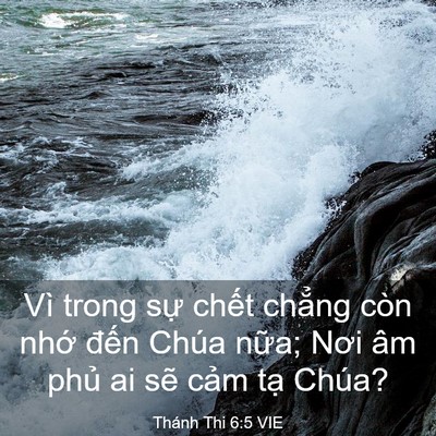 Picture 03 - Thánh Thi 6:5 VIE - Vì trong sự chết chẳng còn nhớ đến - Bible Verse Picture