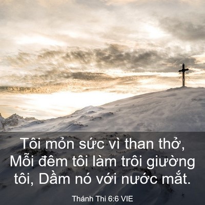 Picture 03 - Thánh Thi 6:6 VIE - Tôi mỏn sức vì than thở, Mỗi đêm tôi - Bible Verse Picture