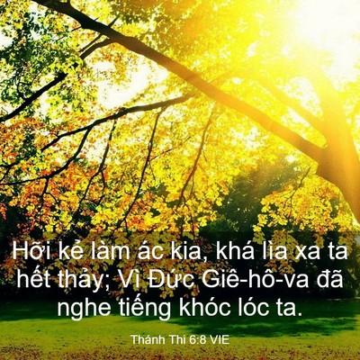 Picture 03 - Thánh Thi 6:8 VIE - Hỡi kẻ làm ác kia, khá lìa xa ta hết - Bible Verse Picture