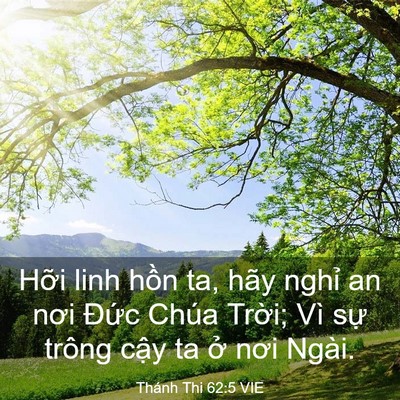Picture 03 - Thánh Thi 62:5 VIE - Hỡi linh hồn ta, hãy nghỉ an nơi Đức - Bible Verse Picture